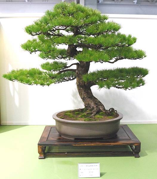 DSC_2873.jpg DSC_2873.jpg