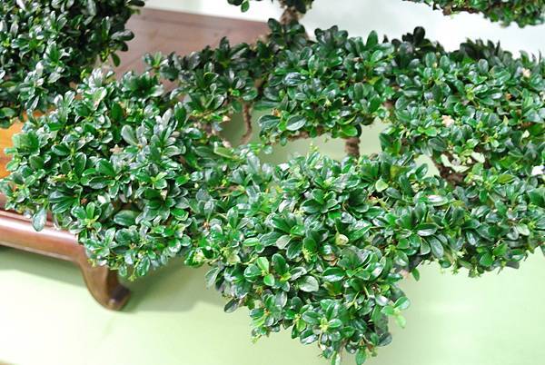 DSC_2872.jpg DSC_2872.jpg