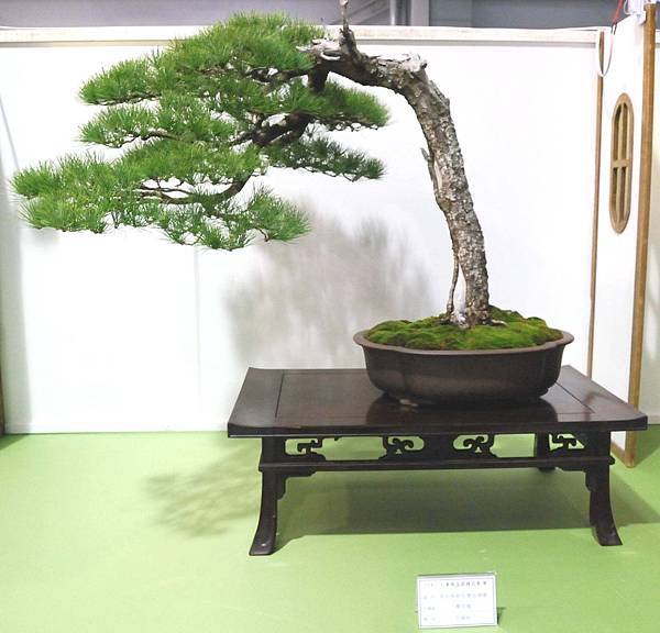 DSC_2874.jpg DSC_2874.jpg