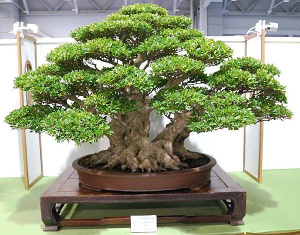 DSC_2875.jpg DSC_2875.jpg