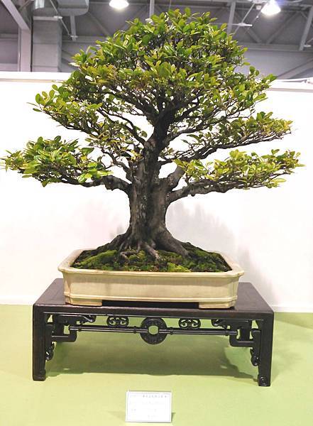 DSC_2877.jpg DSC_2877.jpg