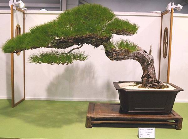 DSC_2878.jpg DSC_2878.jpg