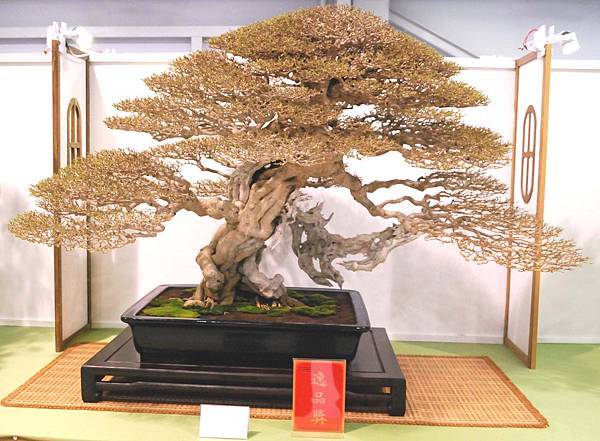 DSC_2880.jpg DSC_2880.jpg