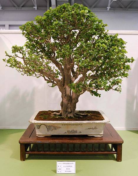 DSC_2879.jpg DSC_2879.jpg