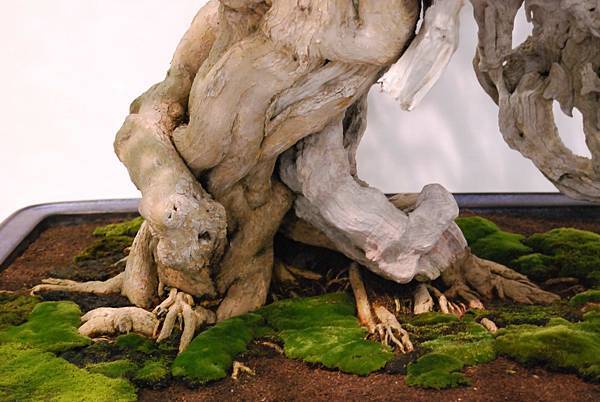 DSC_2881.jpg DSC_2881.jpg