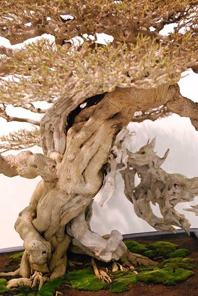 DSC_2882.jpg DSC_2882.jpg