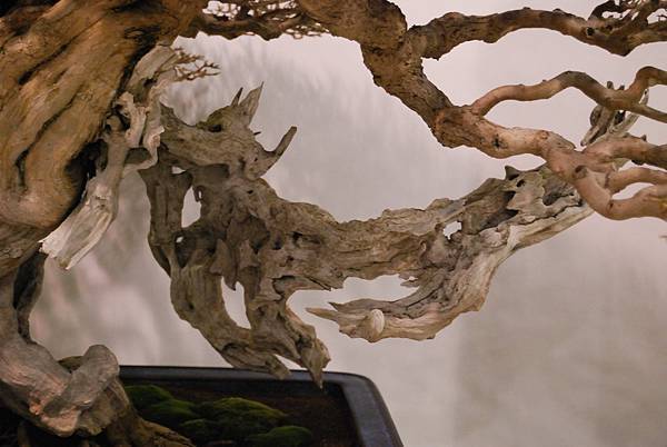 DSC_2883.jpg DSC_2883.jpg