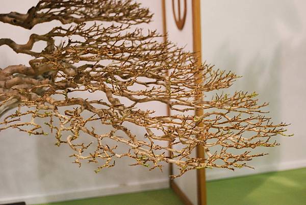 DSC_2885.jpg DSC_2885.jpg