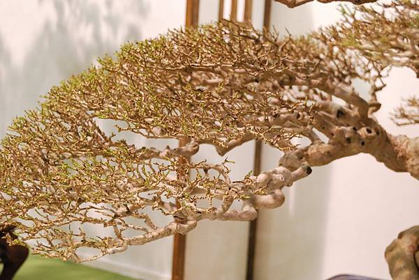 DSC_2886.jpg DSC_2886.jpg