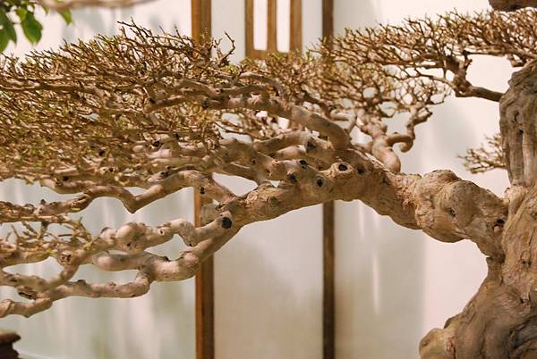 DSC_2887.jpg DSC_2887.jpg