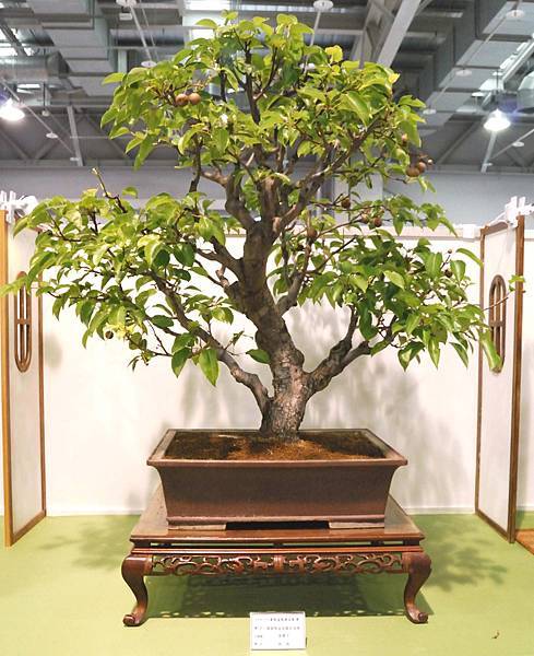 DSC_2888.jpg DSC_2888.jpg