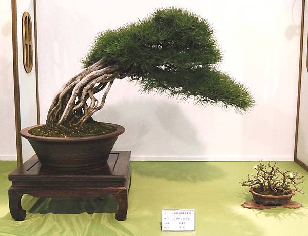 DSC_2891.jpg DSC_2891.jpg