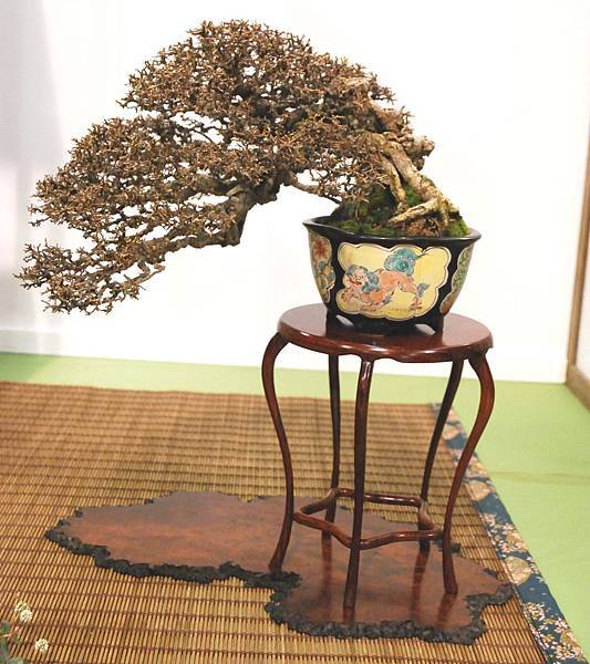 DSC_2893.jpg DSC_2893.jpg