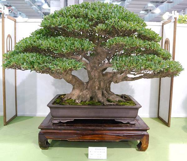 DSC_2892.jpg DSC_2892.jpg