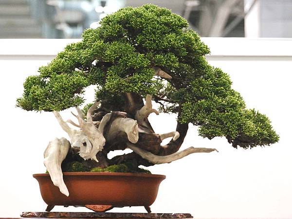 DSC_2894.jpg DSC_2894.jpg