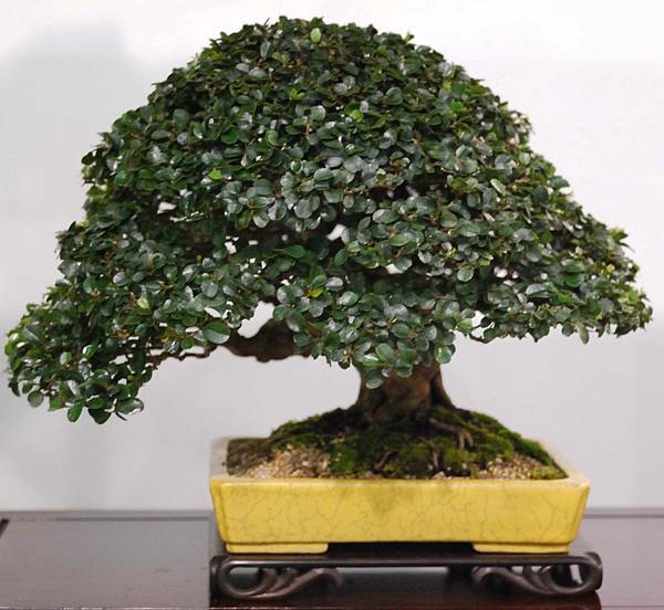 DSC_2896.jpg DSC_2896.jpg