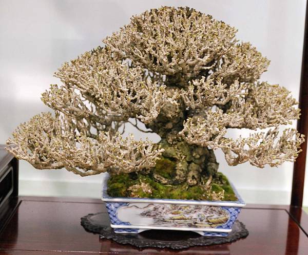 DSC_2897.jpg DSC_2897.jpg