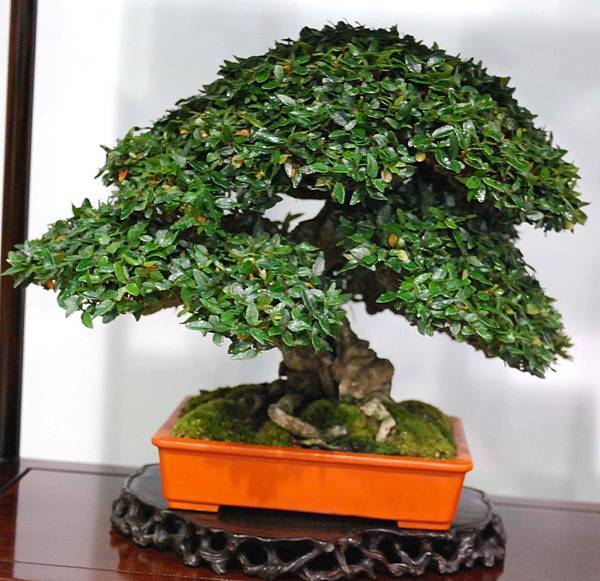 DSC_2898.jpg DSC_2898.jpg