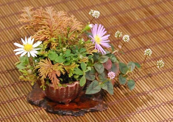 DSC_2899.jpg DSC_2899.jpg