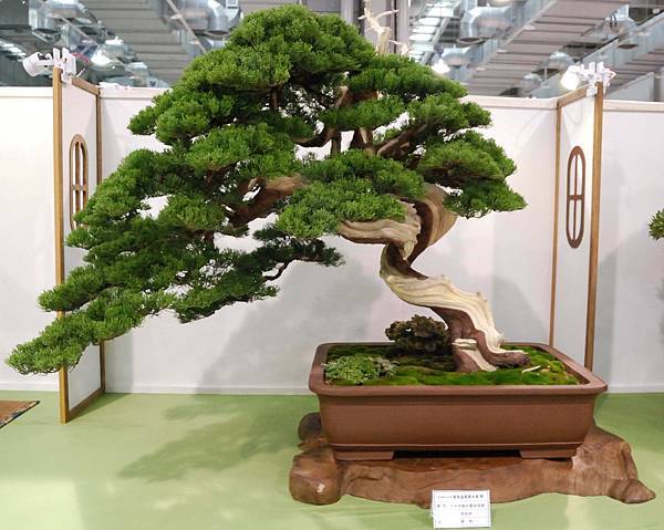 DSC_2902.jpg DSC_2902.jpg