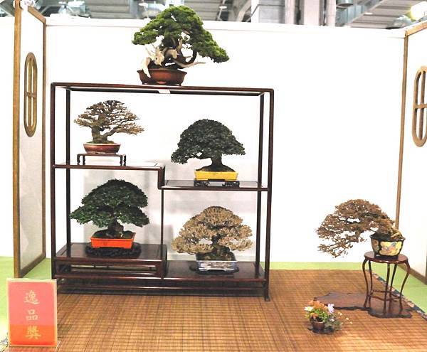 DSC_2901.jpg DSC_2901.jpg