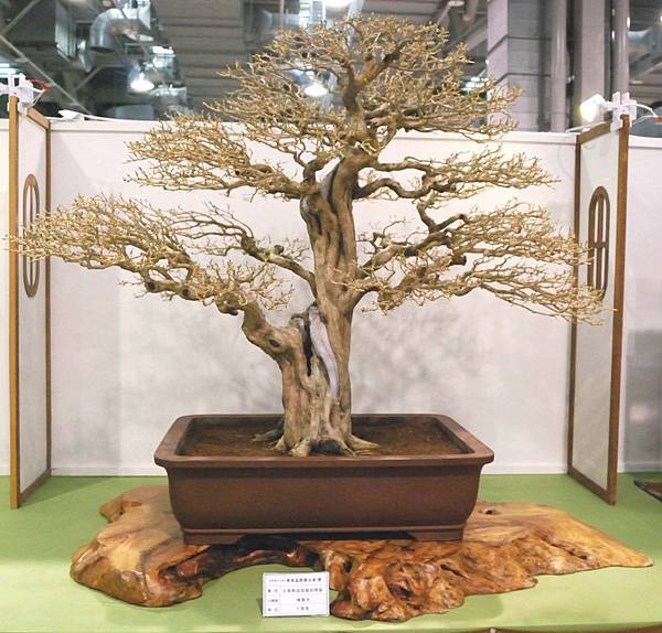 DSC_2903.jpg DSC_2903.jpg