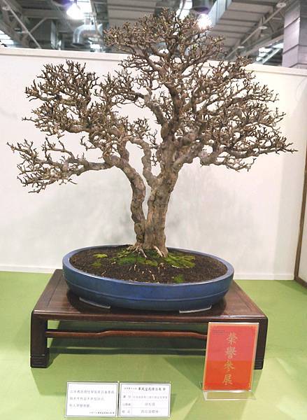 DSC_2904.jpg DSC_2904.jpg