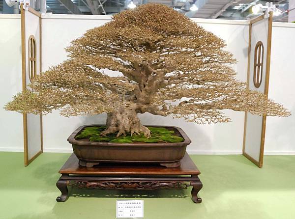 DSC_2905.jpg DSC_2905.jpg