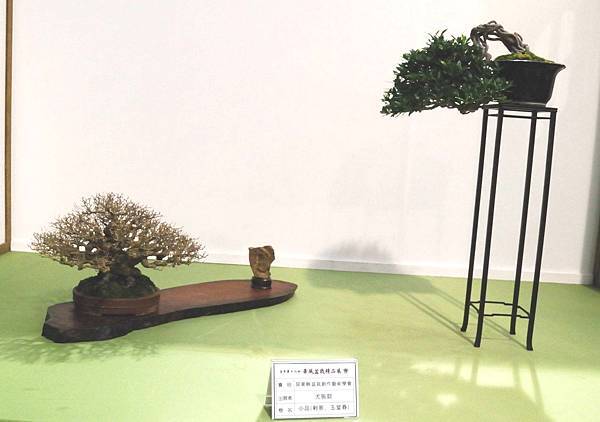 DSC_2906.jpg DSC_2906.jpg