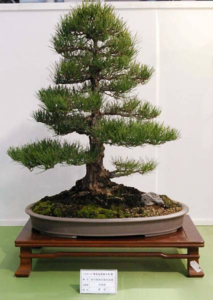 DSC_2908.jpg DSC_2908.jpg