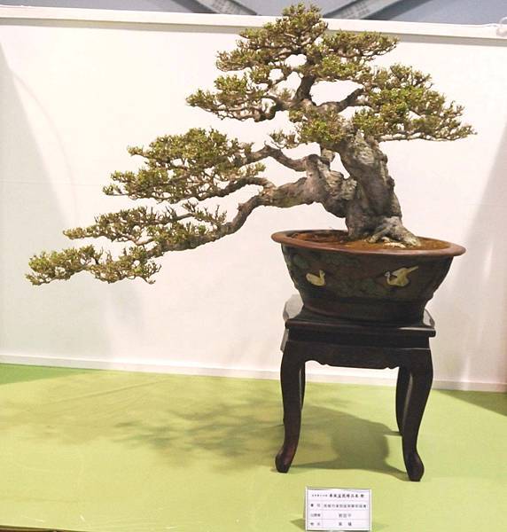 DSC_2913.jpg DSC_2913.jpg