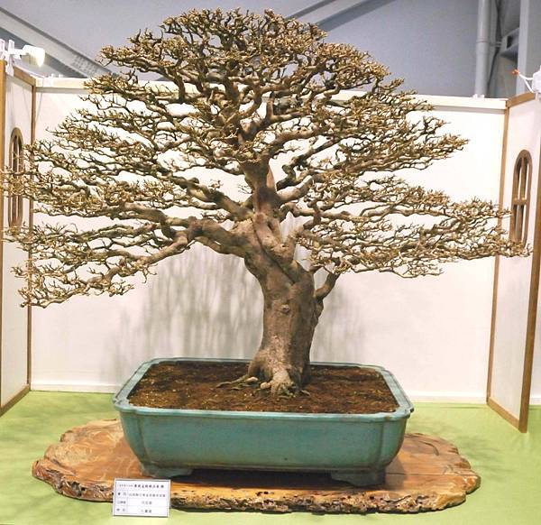 DSC_2912.jpg DSC_2912.jpg