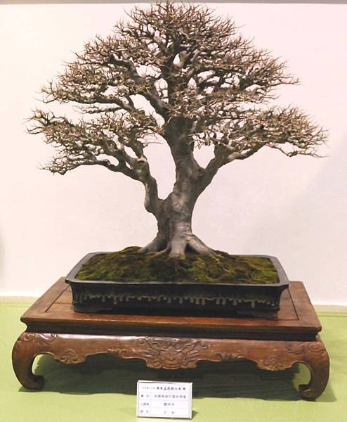 DSC_2914.jpg DSC_2914.jpg