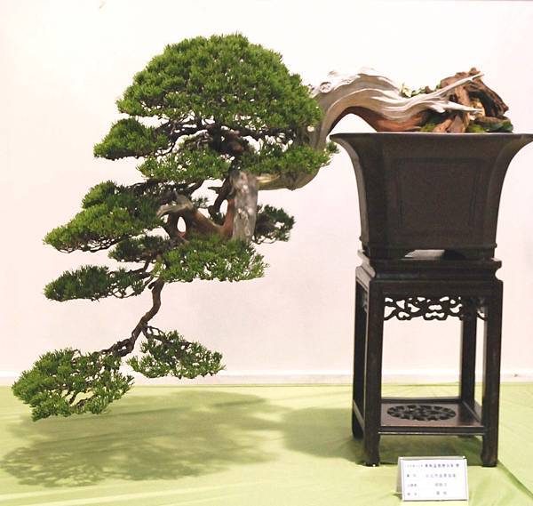 DSC_2918.jpg DSC_2918.jpg