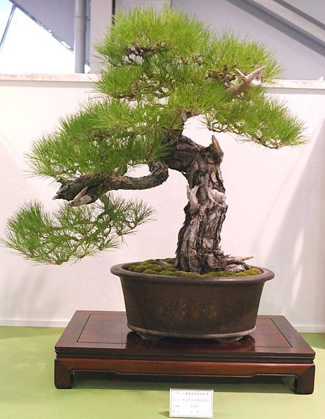 DSC_2919.jpg DSC_2919.jpg