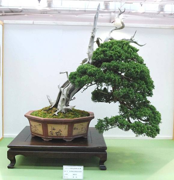 DSC_2921.jpg DSC_2921.jpg