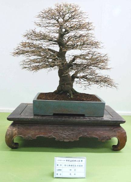 DSC_2922.jpg DSC_2922.jpg