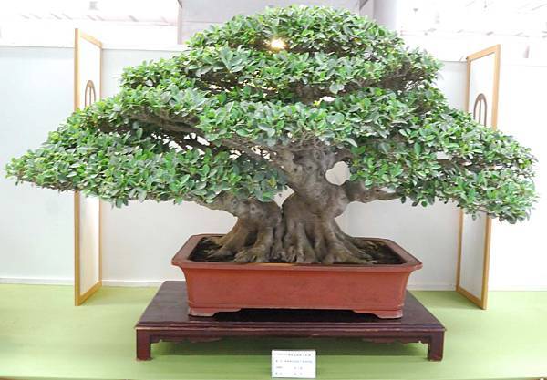 DSC_2924.jpg DSC_2924.jpg