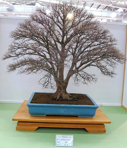 DSC_2925.jpg DSC_2925.jpg