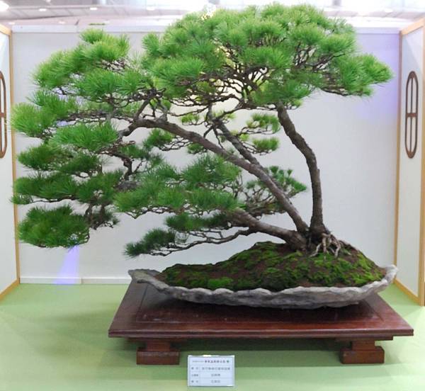 DSC_2926.jpg DSC_2926.jpg