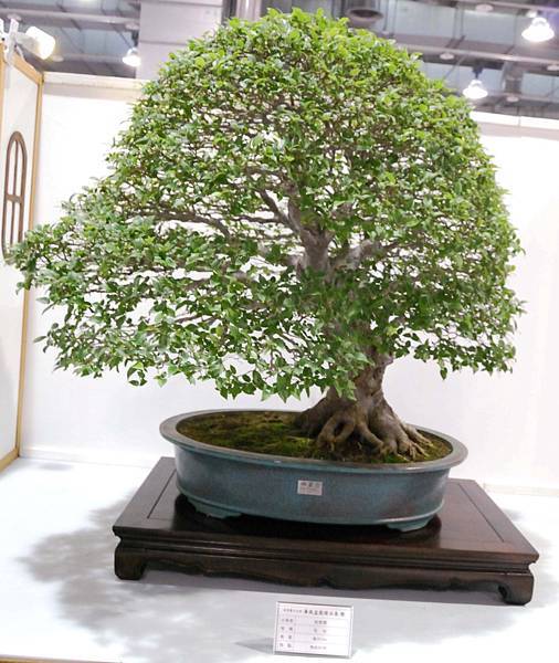 DSC_2929.jpg DSC_2929.jpg