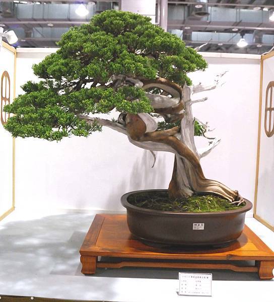 DSC_2928.jpg DSC_2928.jpg