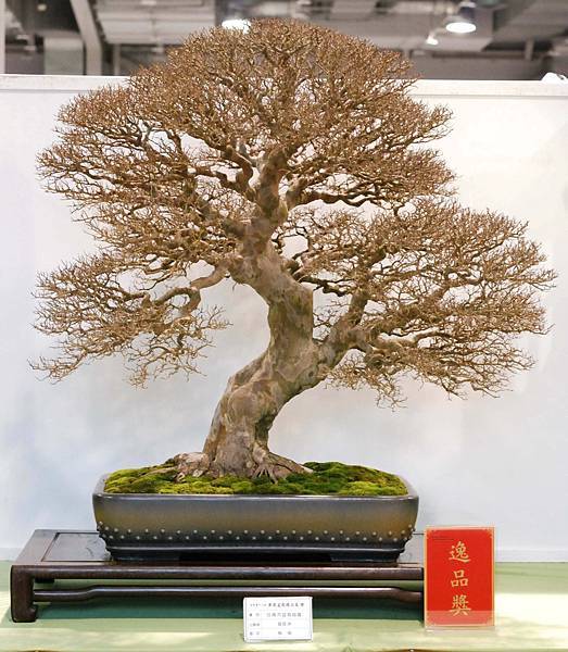 DSC_2930.jpg DSC_2930.jpg