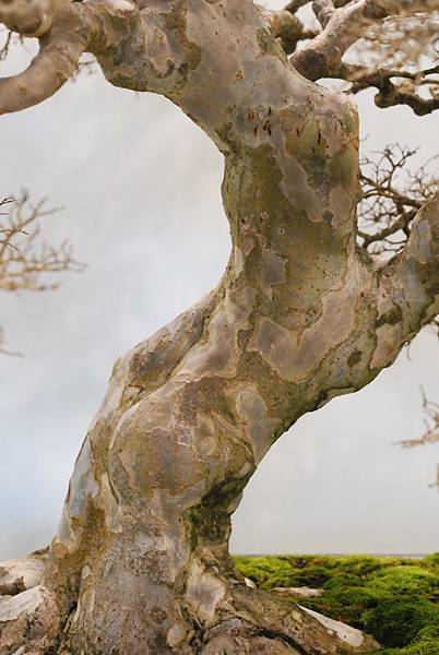 DSC_2932.jpg DSC_2932.jpg