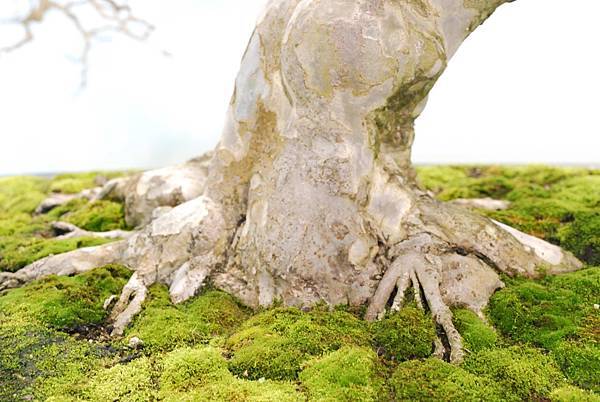 DSC_2931.jpg DSC_2931.jpg