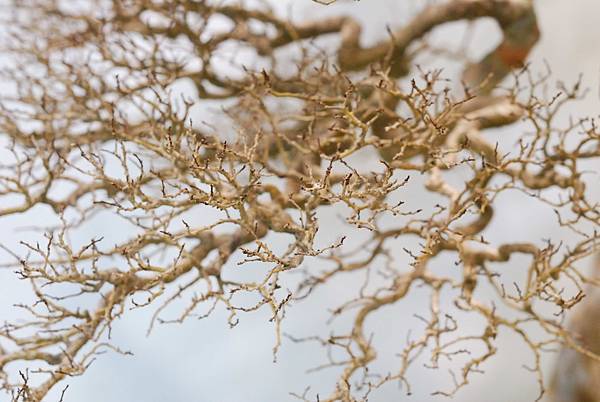 DSC_2933.jpg DSC_2933.jpg