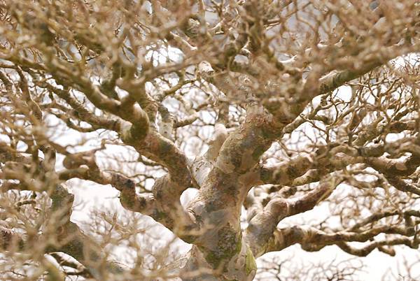 DSC_2934.jpg DSC_2934.jpg