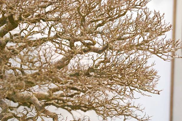 DSC_2935.jpg DSC_2935.jpg