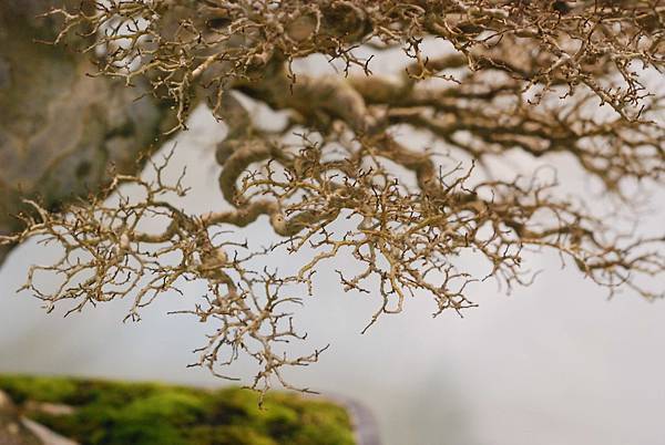 DSC_2936.jpg DSC_2936.jpg