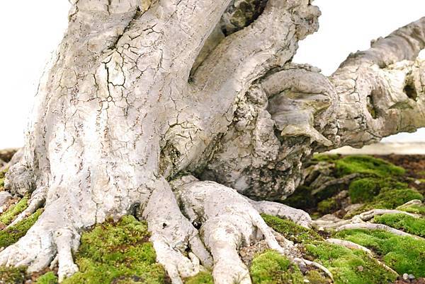 DSC_2938.jpg DSC_2938.jpg